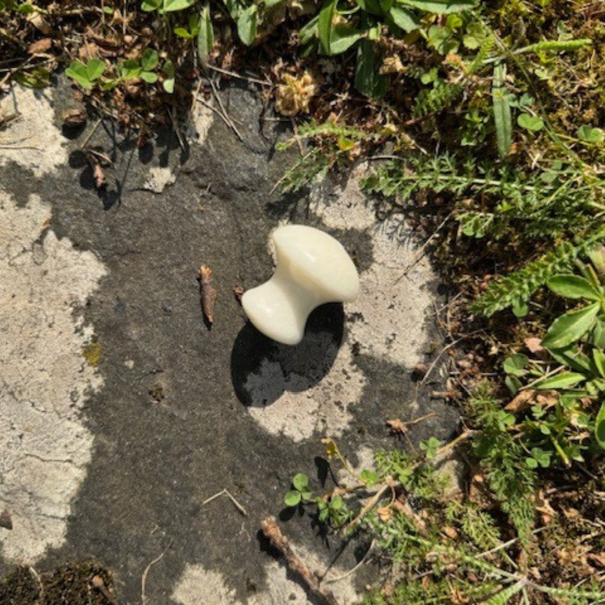 Gua Sha Mushroom New jade Serpentin Vit Me Anima