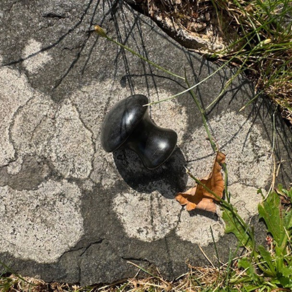 Gua Sha Mushroom i Bian-sten placerad på stenig mark. Ett svampliknande massageverktyg som stimulerar blodcirkulationen, minskar svullnad och stärker lymfdränaget för en fastare och mer återfuktad hud.