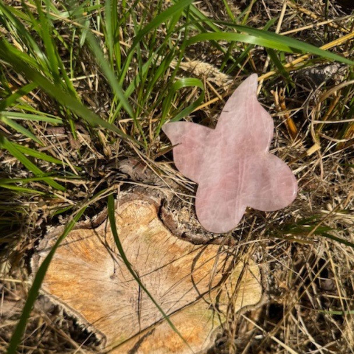 Gua Sha-sten i form av fjäril i rosenkvarts placerad på gräs och trästubbe i naturmiljö