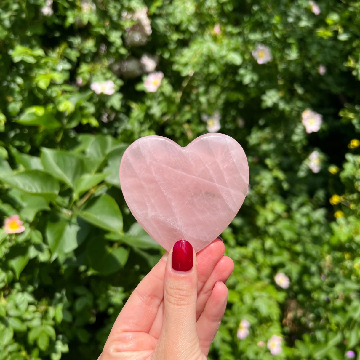 Hand håller upp ett hjärtformat Gua Sha-verktyg i rosenkvarts mot grönskande bakgrund